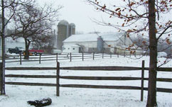 Barn in LeRoy Township